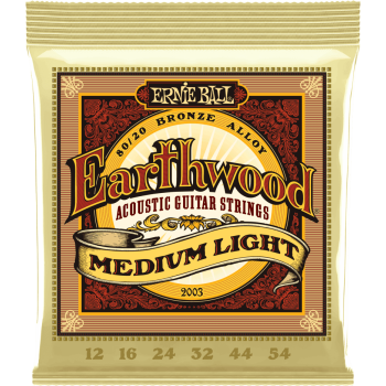 ERNIE BALL 2003 earthwood 80/20 bronze medium light 12-54