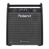 ROLAND PM-200 180 watt personal monitor