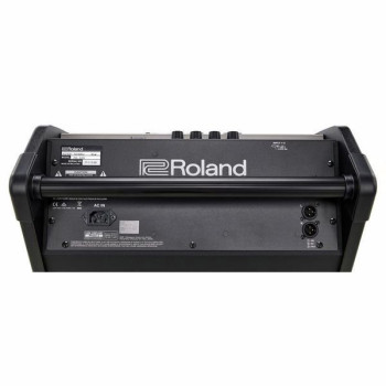 ROLAND PM-200 180 watt personal monitor
