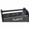ROLAND PM-200 180 watt personal monitor