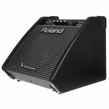 ROLAND PM-100 80 watt personal monitor