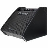 ROLAND PM-100 80 watt personal monitor