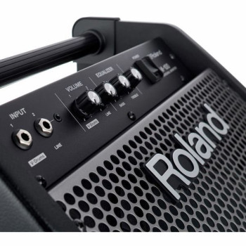 ROLAND PM-100 80 watt personal monitor