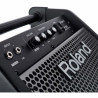 ROLAND PM-100 80 watt personal monitor