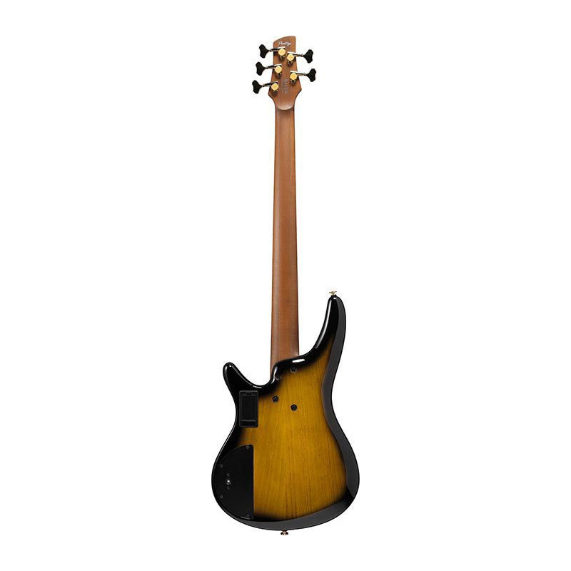 IBANEZ SR4505DST Desert Sunset Burst basse electrique 5 cordes avec valise