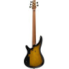 IBANEZ SR4505DST Desert Sunset Burst basse electrique 5 cordes avec valise