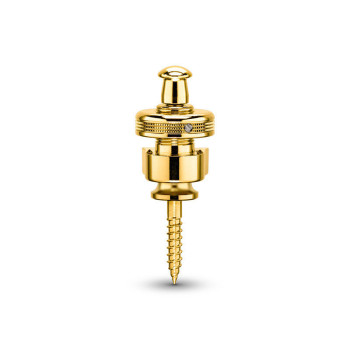 SCHALLER S LOCK GOLD