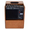 ACUS ONE FOR STRINGS 6T WOOD Ampli acoustique 130W 2 voies bi-amplifiees 2 entrees XLR symetrique