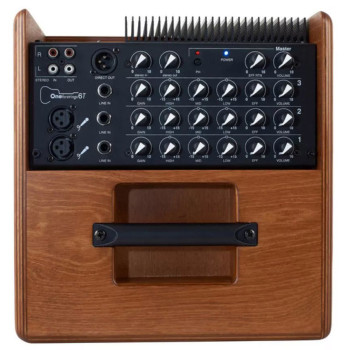 ACUS ONE FOR STRINGS 6T WOOD Ampli acoustique 130W 2 voies bi-amplifiees 2 entrees XLR symetrique