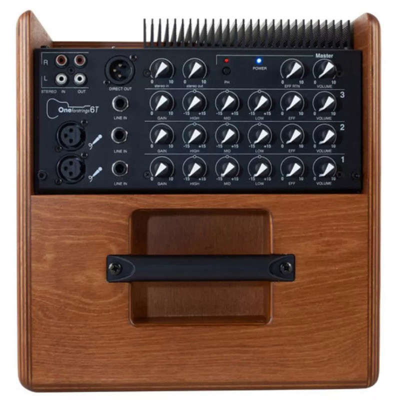 ACUS ONE FOR STRINGS 6T WOOD Ampli acoustique 130W 2 voies bi-amplifiees 2 entrees XLR symetrique