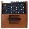 ACUS ONE FOR STRINGS 6T WOOD Ampli acoustique 130W 2 voies bi-amplifiees 2 entrees XLR symetrique