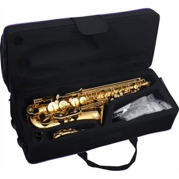 SML PARIS A420-II saxophone alto débutant verni a420-ii