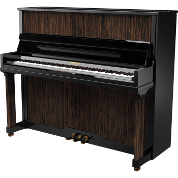 PLEYEL P124-MAC p124 ébène de macassar noir brillant Silent