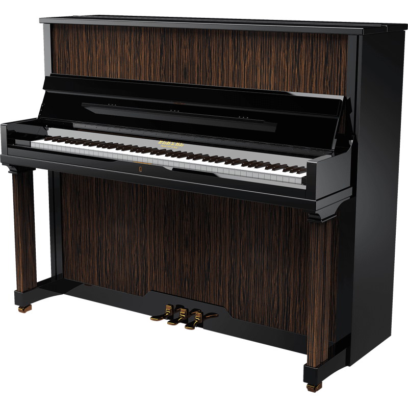 PLEYEL P124-MAC p124 ébène de macassar noir brillant Silent