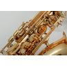 SML PARIS A300 saxophone alto débutant verni a300