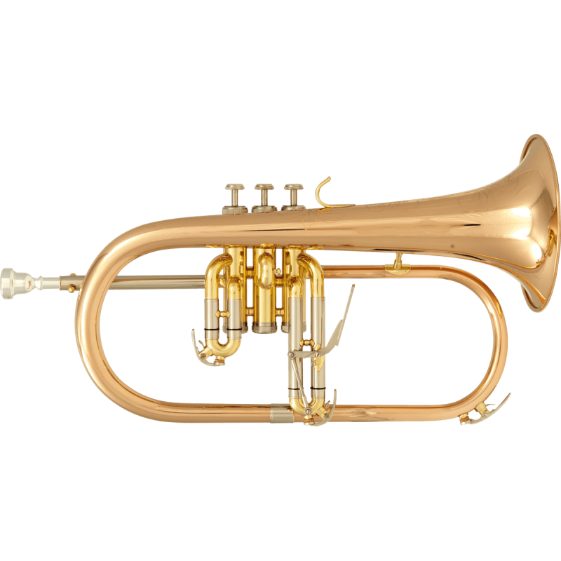SML PARIS BU600 bugle débutant sib verni bu600