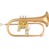SML PARIS BU600 bugle débutant sib verni bu600