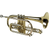 SML PARIS CO50 cornet débutant sib verni co50