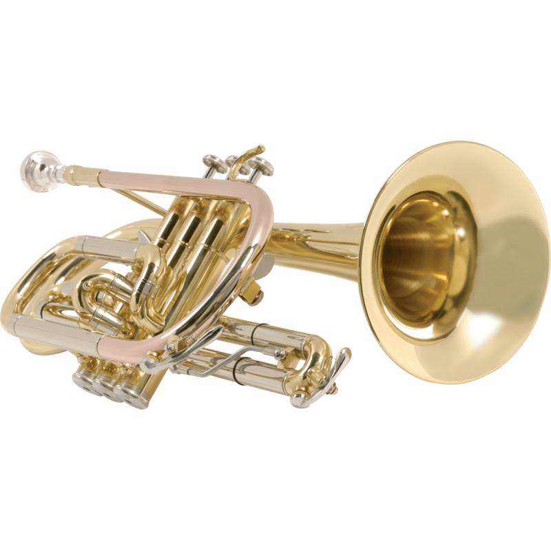 SML PARIS CO870-L cornet étudiant sib trigger verni co870-l