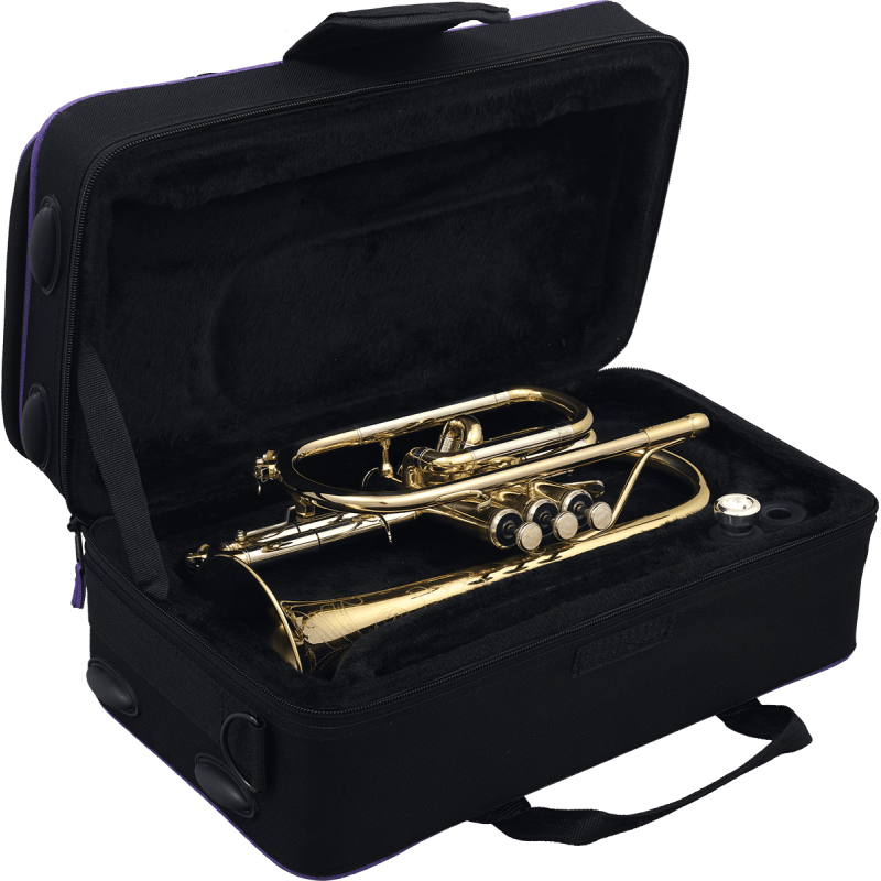 SML PARIS CO870-L cornet étudiant sib trigger verni co870-l