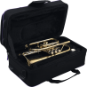 SML PARIS CO870-L cornet étudiant sib trigger verni co870-l