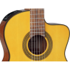 TAKAMINE GC1CENAT gc1ce-nat natural