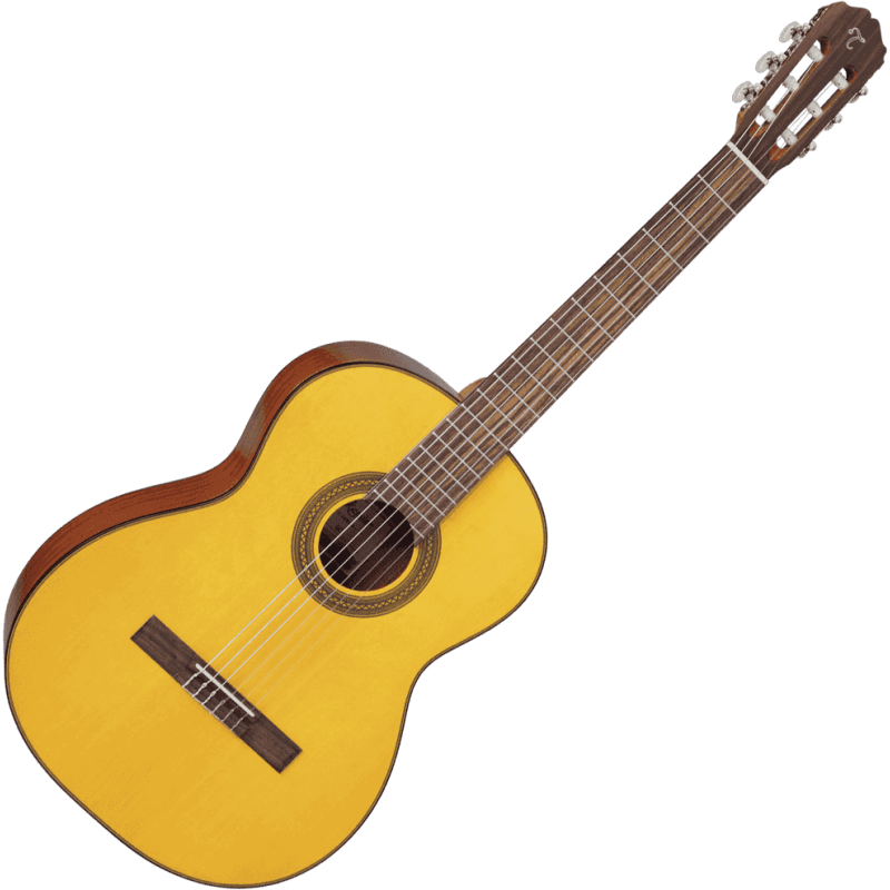 TAKAMINE GC1NAT gc1-nat natural