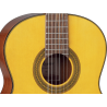 TAKAMINE GC1NAT gc1-nat natural