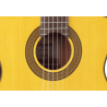 TAKAMINE GC3CENAT gc3ce-nat natural