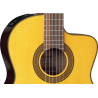 TAKAMINE GC5CENAT gc5ce-nat natural