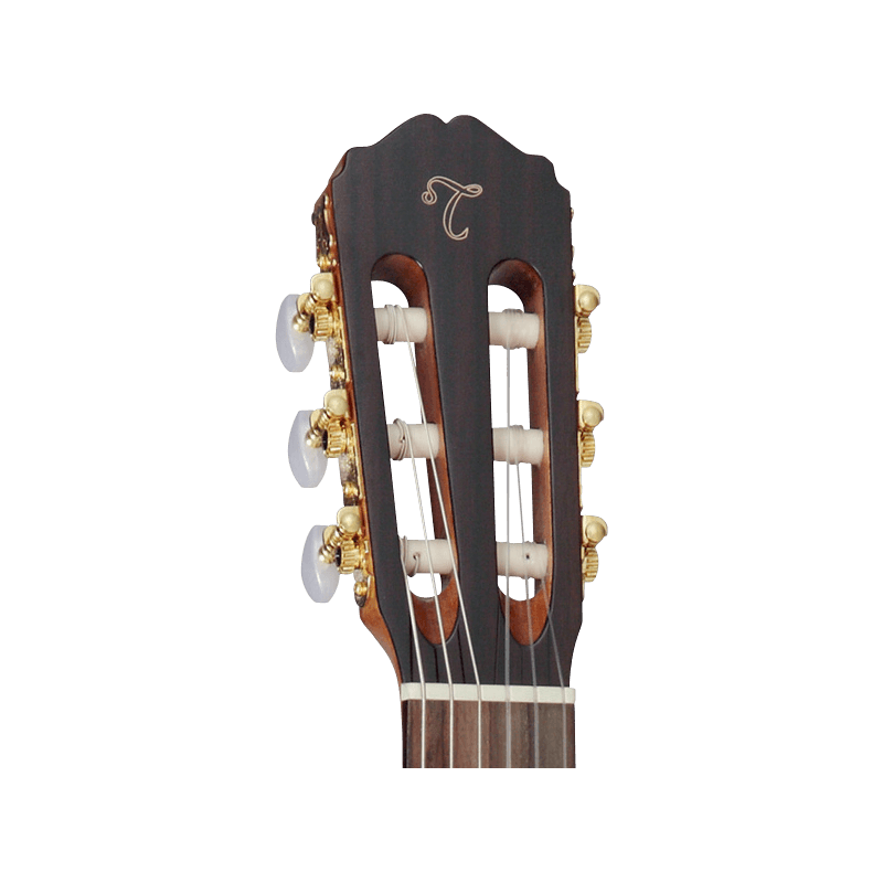 TAKAMINE GC5CENAT gc5ce-nat natural