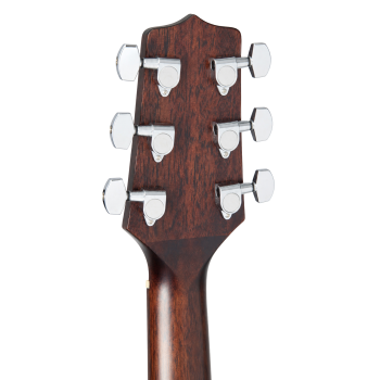 TAKAMINE GD21CE-SM guitare e/a gd21ce-sm satin molasses