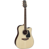 TAKAMINE GD51CENAT gd51ce-nat natural