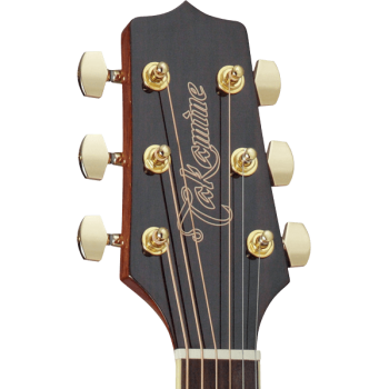 TAKAMINE GD51CENAT gd51ce-nat natural