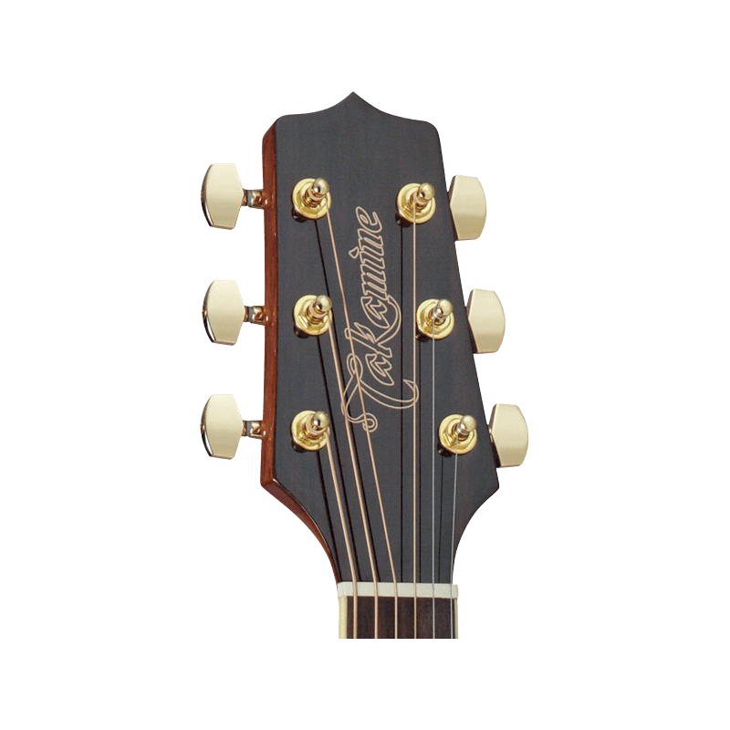 TAKAMINE GD51CENAT gd51ce-nat natural