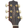 TAKAMINE GD51CENAT gd51ce-nat natural