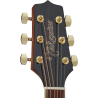 TAKAMINE GD51NAT gd51-nat natural