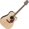 TAKAMINE GD93CENAT gd93ce-nat natural