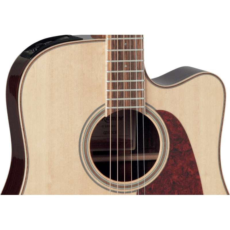 TAKAMINE GD93CENAT gd93ce-nat natural