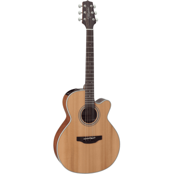 TAKAMINE GN20CENS gn20ce-ns  natural satin