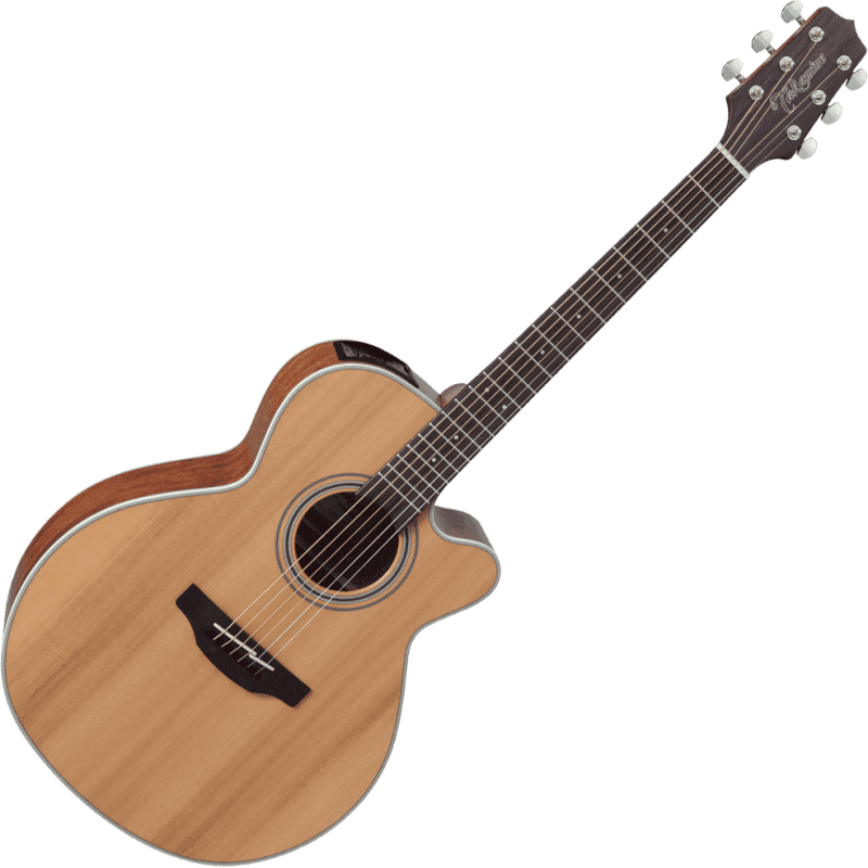 TAKAMINE GN20CENS gn20ce-ns  natural satin