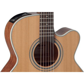 TAKAMINE GN20CENS gn20ce-ns  natural satin
