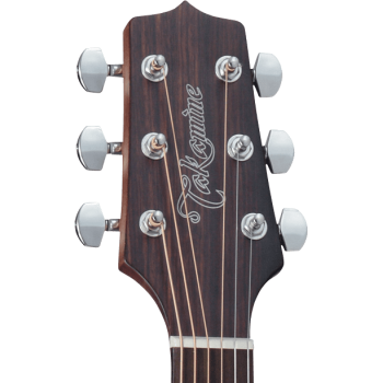 TAKAMINE GN20CENS gn20ce-ns  natural satin