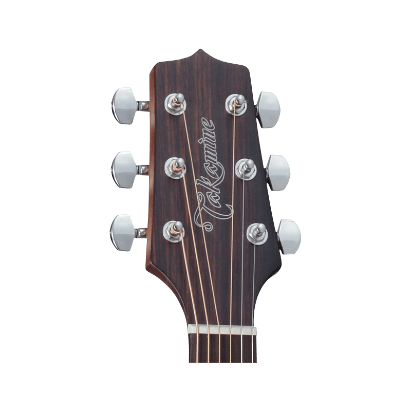 TAKAMINE GN20CENS gn20ce-ns  natural satin