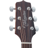 TAKAMINE GN20CENS gn20ce-ns  natural satin