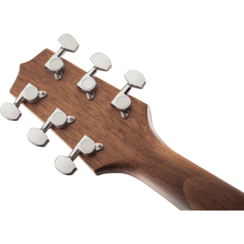 TAKAMINE GN20CENS gn20ce-ns  natural satin