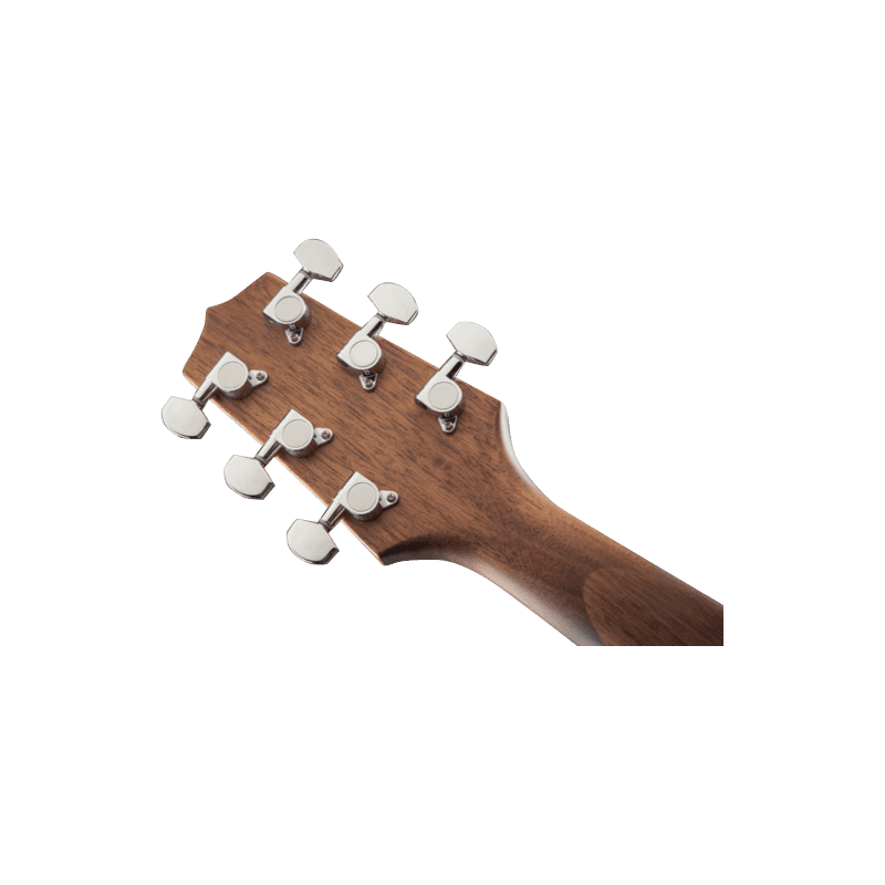 TAKAMINE GN20CENS gn20ce-ns  natural satin