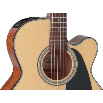 TAKAMINE GN51CENAT gn51ce-nat natural