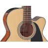 TAKAMINE GN51CENAT gn51ce-nat natural