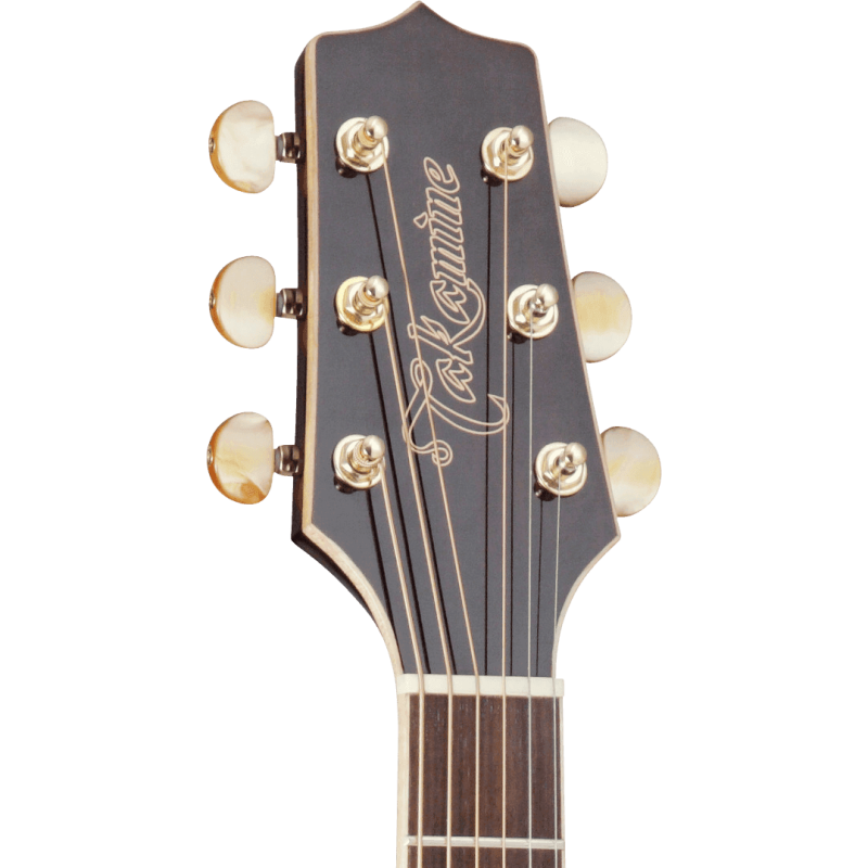 TAKAMINE GN71CEBSB gn71ce-bsb brown sunburst